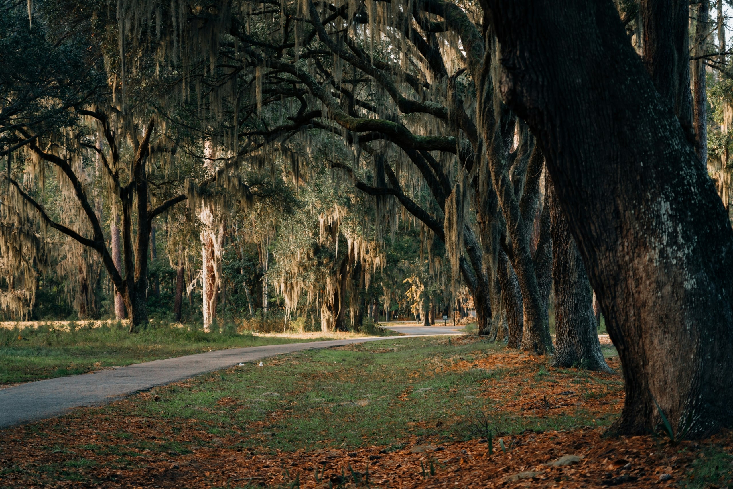 Home Prices on James Island